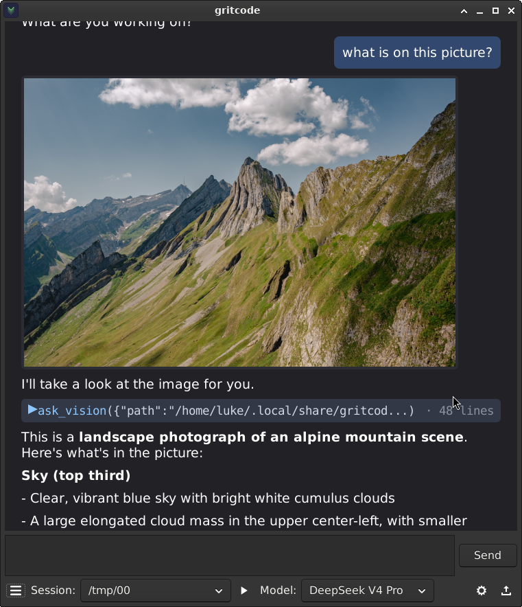 GritCode describing a mountain photo with the ask vision tool